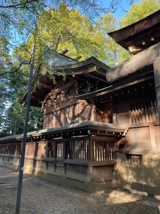 小金井神社の{uncategorized: "未分類", other: "その他", undefined: "問題あり", building: "その他建物", grave: "お墓", sacred_gate: "鳥居", guardian: "狛犬", statue: "像", buddha: "仏像", history: "歴史", nature: "自然", garden: "庭園", animal: "動物", pagoda: "塔", temizu: "手水舎", mountain_gate: "山門・神門", sanctuary: "本殿・本堂", subordinate: "末社・摂社", art: "芸術", scenery: "景色", jizo: "地蔵", ema: "絵馬", goshuin: "御朱印", omikuji: "おみくじ", items: "授与品その他", amulet: "お守り", goshuincho: "御朱印帳", eats: "食事", festival: "お祭り", votive_dance: "神楽", shichigosan: "七五三参", wedding: "結婚式", experience: "体験その他", initially: "初詣", around: "周辺", anti_infection: "感染症対策"}