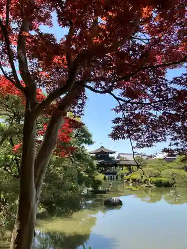 平安神宮の{uncategorized: "未分類", other: "その他", undefined: "問題あり", building: "その他建物", grave: "お墓", sacred_gate: "鳥居", guardian: "狛犬", statue: "像", buddha: "仏像", history: "歴史", nature: "自然", garden: "庭園", animal: "動物", pagoda: "塔", temizu: "手水舎", mountain_gate: "山門・神門", sanctuary: "本殿・本堂", subordinate: "末社・摂社", art: "芸術", scenery: "景色", jizo: "地蔵", ema: "絵馬", goshuin: "御朱印", omikuji: "おみくじ", items: "授与品その他", amulet: "お守り", goshuincho: "御朱印帳", eats: "食事", festival: "お祭り", votive_dance: "神楽", shichigosan: "七五三参", wedding: "結婚式", experience: "体験その他", initially: "初詣", around: "周辺", anti_infection: "感染症対策"}