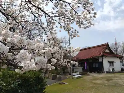 妙法寺(福井県)