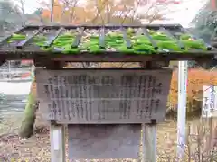 大野寺の歴史