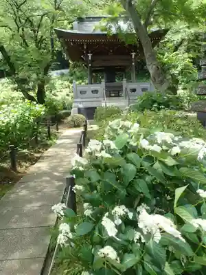 妙楽寺(神奈川県)