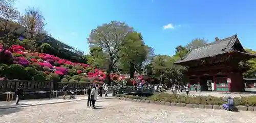 根津神社のその他建物