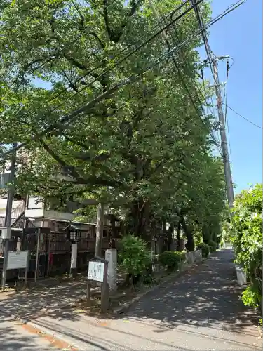 田端神社(東京都)