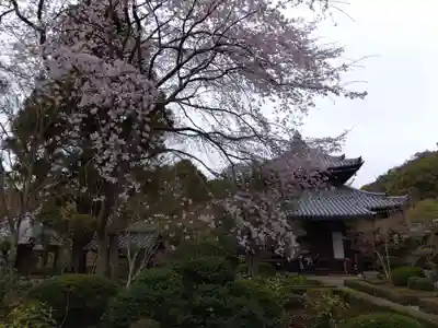 安楽寺(京都府)