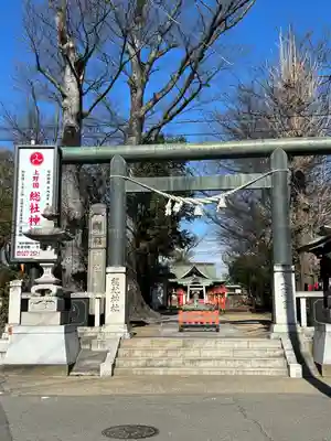 上野総社神社(群馬県)