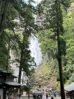 飛瀧神社(熊野那智大社別宮)(和歌山県)