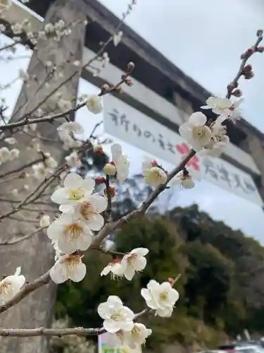岩津天満宮(愛知県)