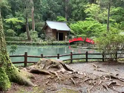 小國神社の本殿・本堂