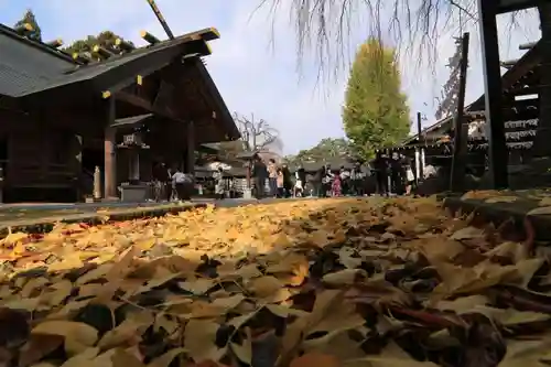 開成山大神宮の本殿・本堂