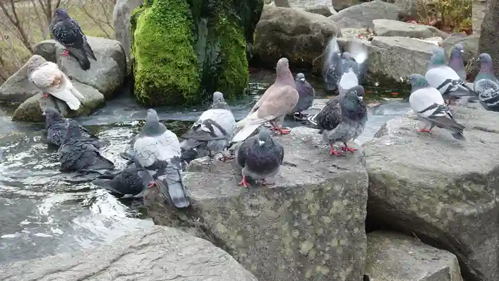 四柱神社(長野県)