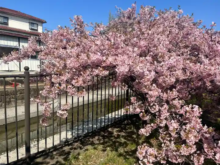 長円寺の{uncategorized: "未分類", other: "その他", undefined: "問題あり", building: "その他建物", grave: "お墓", sacred_gate: "鳥居", guardian: "狛犬", statue: "像", buddha: "仏像", history: "歴史", nature: "自然", garden: "庭園", animal: "動物", pagoda: "塔", temizu: "手水舎", mountain_gate: "山門・神門", sanctuary: "本殿・本堂", subordinate: "末社・摂社", art: "芸術", scenery: "景色", jizo: "地蔵", ema: "絵馬", goshuin: "御朱印", omikuji: "おみくじ", items: "授与品その他", amulet: "お守り", goshuincho: "御朱印帳", eats: "食事", festival: "お祭り", votive_dance: "神楽", shichigosan: "七五三参", wedding: "結婚式", experience: "体験その他", initially: "初詣", around: "周辺", anti_infection: "感染症対策"}