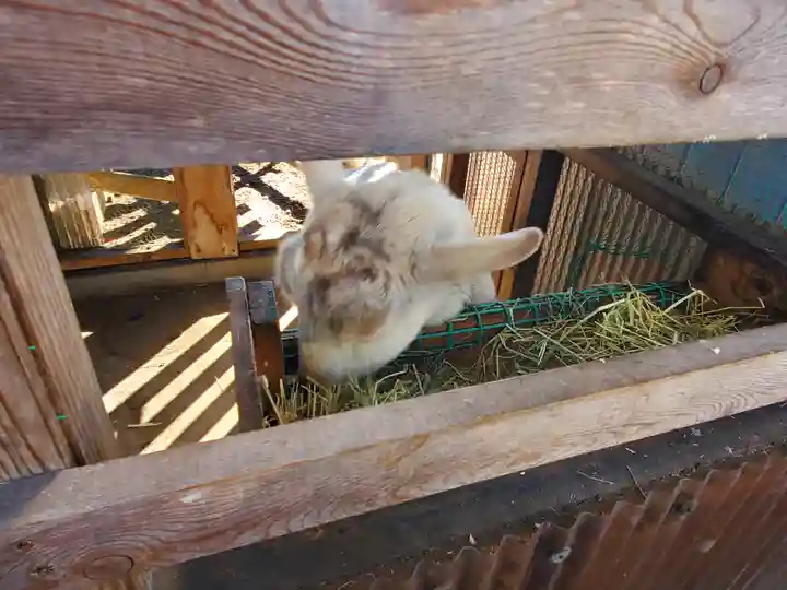 比呂佐和神社(群馬県)