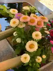 高司神社〜むすびの神の鎮まる社〜の手水