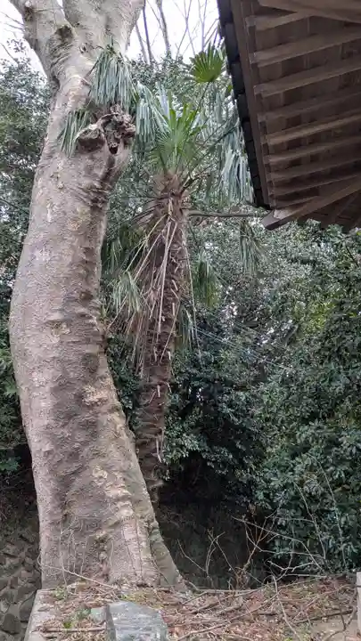 不動尊・子育地蔵尊の自然