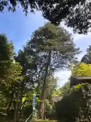 春日神社(京都府)