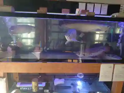 光明寺(埼玉県)