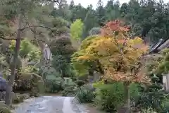 法雲寺の庭園