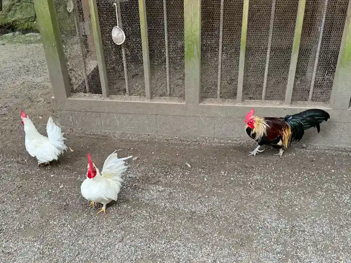 石上神宮(奈良県)