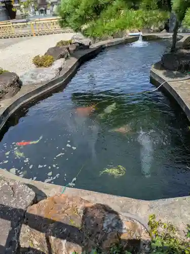 梅龍寺(岐阜県)