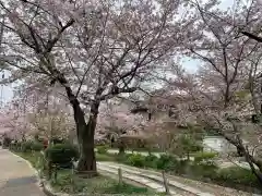 紫雲山 大泉寺の建物その他