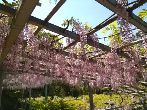 阿智神社(岡山県)