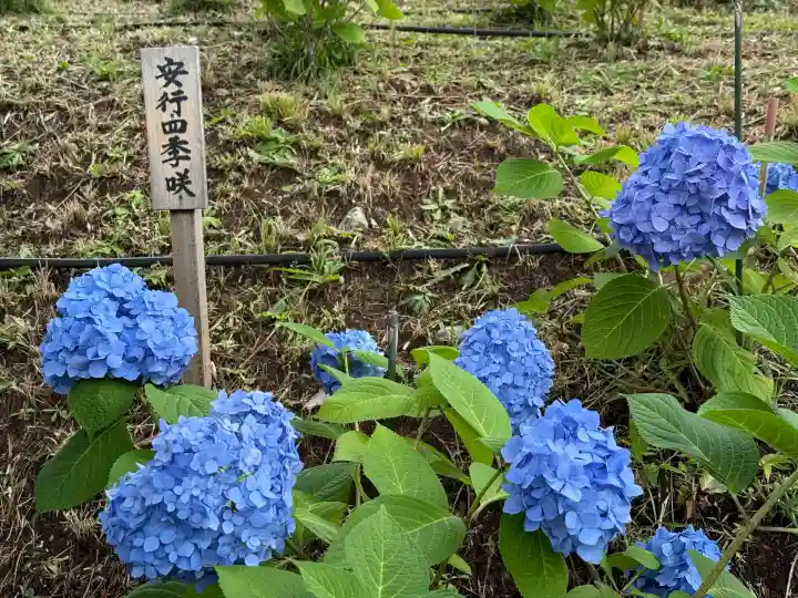 狭山山不動寺(埼玉県)