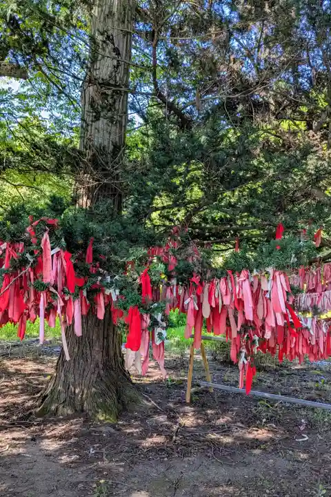 卯子酉神社の自然