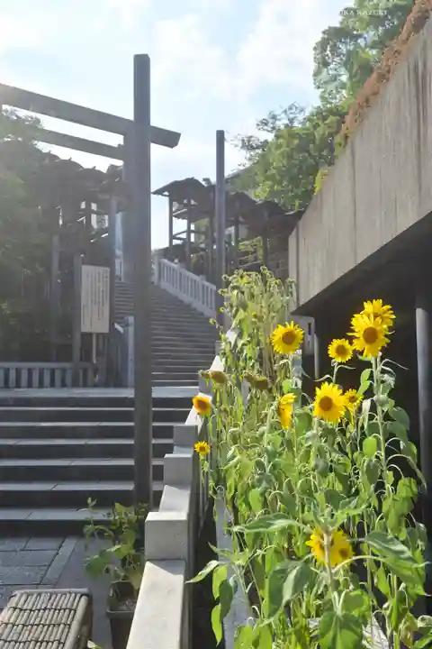 伊勢山皇大神宮(神奈川県)