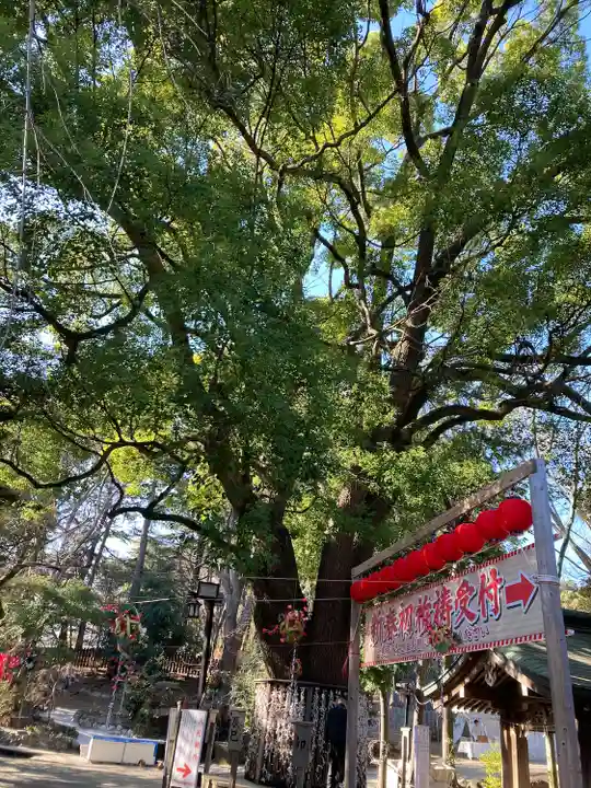平塚八幡宮(神奈川県)
