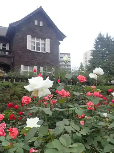 駒込妙義神社(東京都)