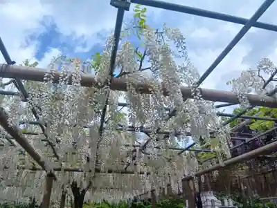 曼陀羅寺(愛知県)
