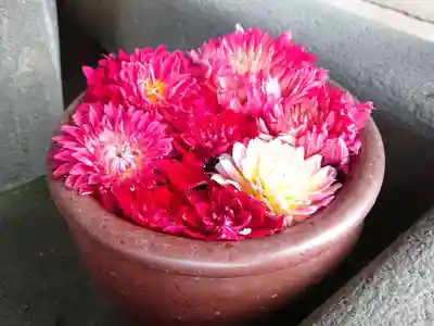 菅生神社の手水舎