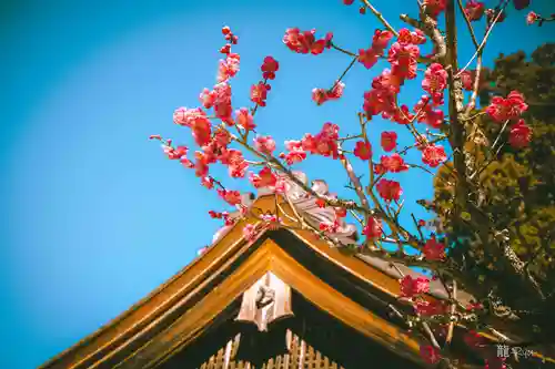 小國神社(静岡県)