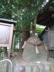 岐佐神社の建物その他