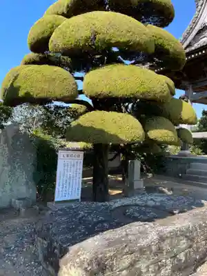 国分寺(徳島県)