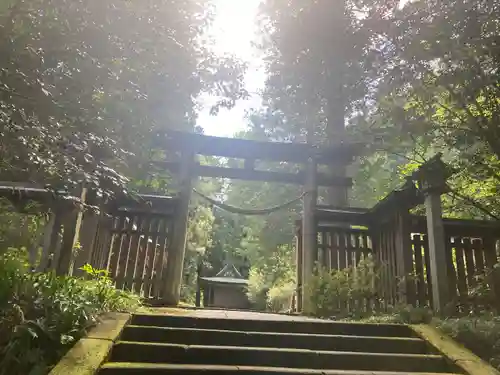 武蔵二宮 金鑚神社(埼玉県)