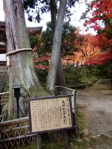西明寺(滋賀県)