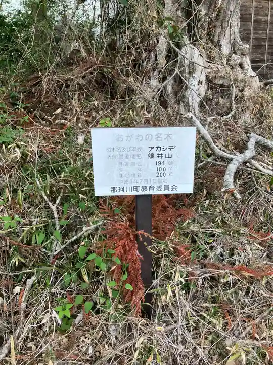 摩多羅神社の自然