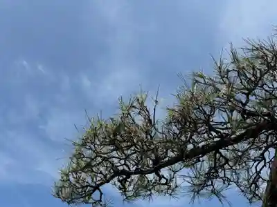 西方山極楽寺(岐阜県)