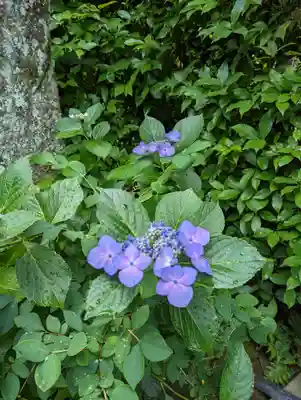 退蔵院(京都府)