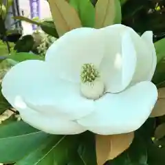 豊景神社の自然