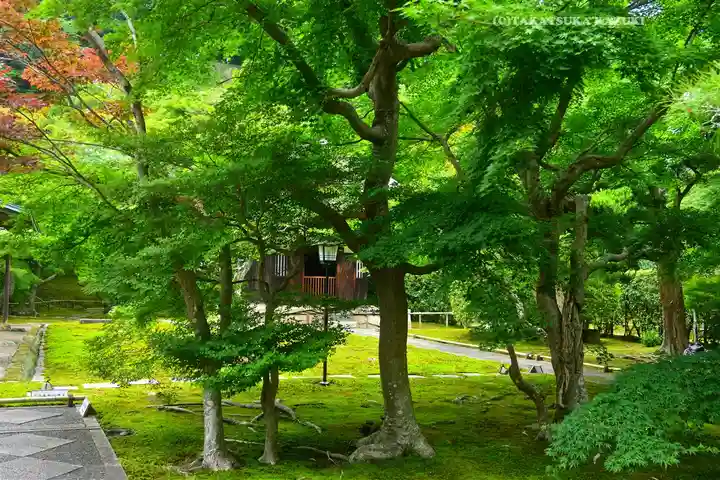 長壽寺(長寿寺)(神奈川県)