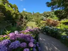 本土寺の周辺