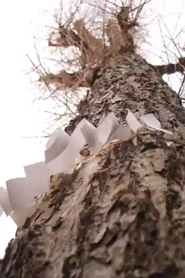 越谷香取神社(埼玉県)