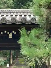 十樂院上陵(京都府)