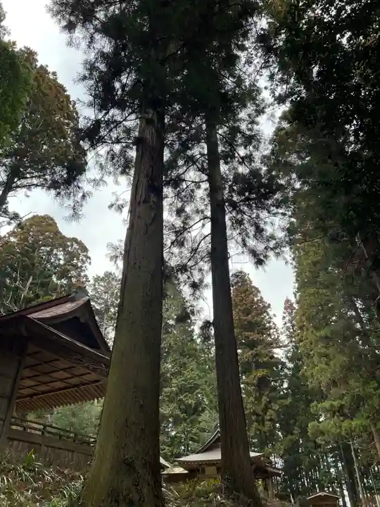 大宮温泉神社(栃木県)