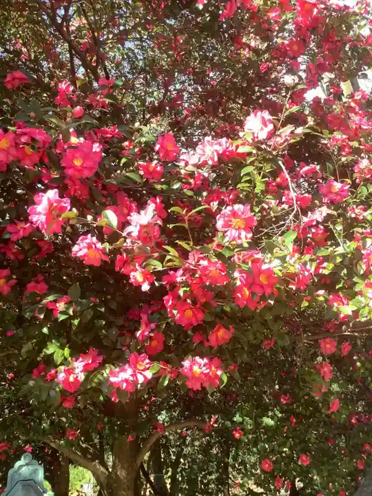 八事山 興正寺の自然