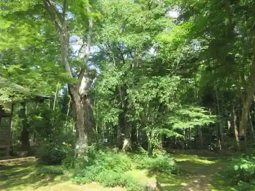 中尊寺(岩手県)