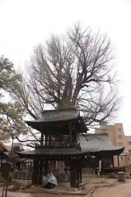 飛騨国分寺の山門・神門