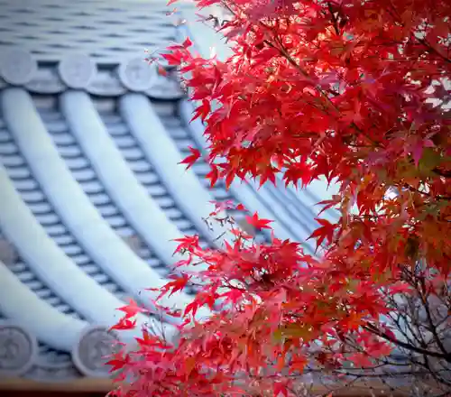 普元寺(愛知県)